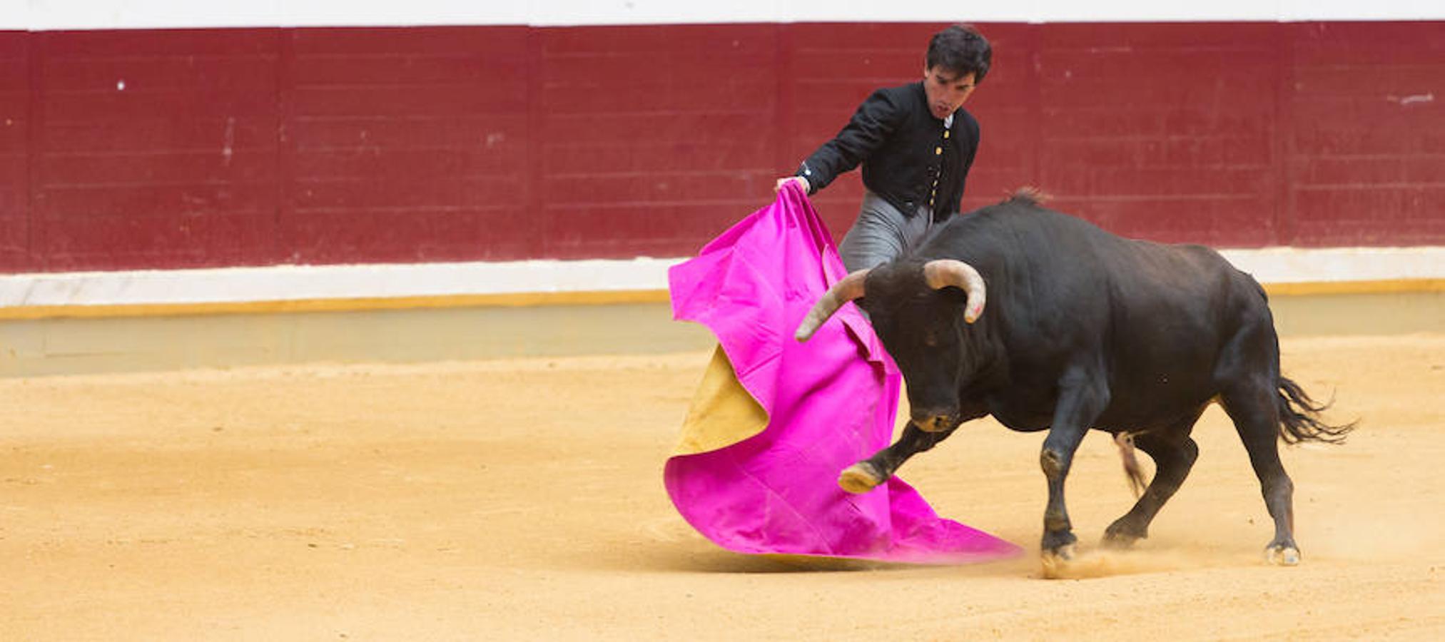 Fotos Festejo Taurino En La Ribera La Rioja